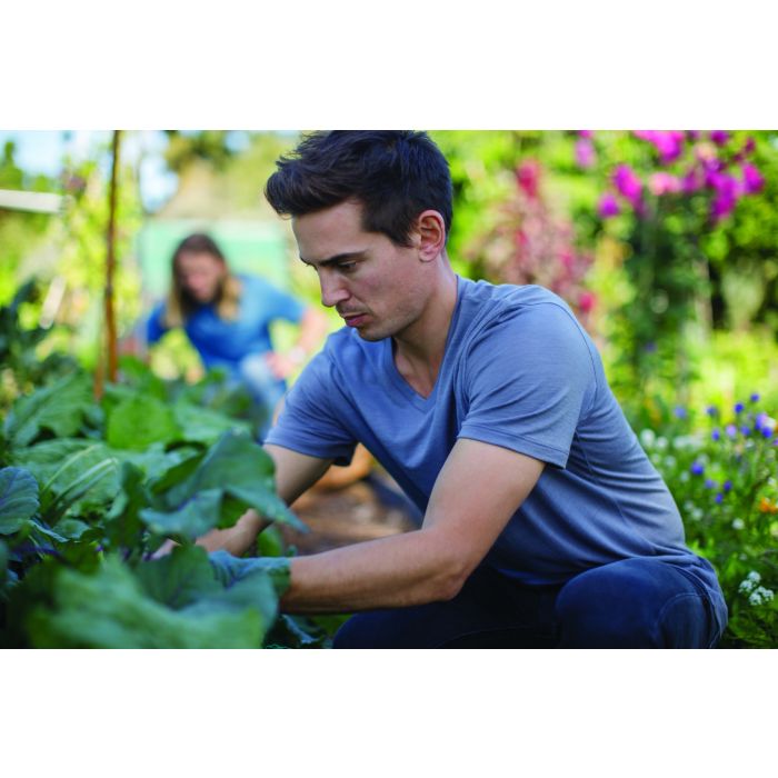 Koszulka męska ICEBREAKER ANATOMICA SHORT SLEEVE V 