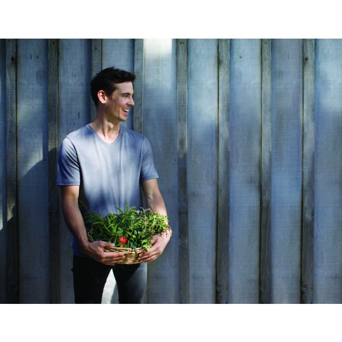 Koszulka męska ICEBREAKER ANATOMICA SHORT SLEEVE V 