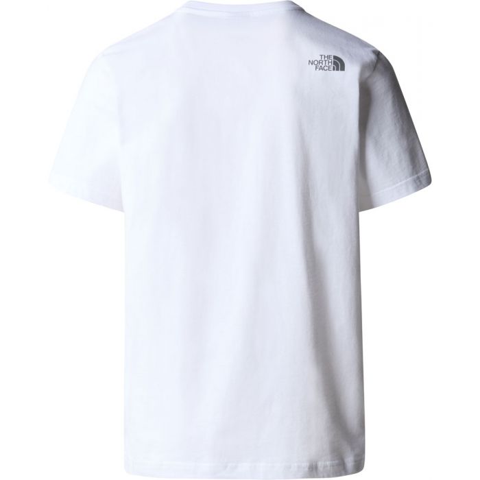 T-shirt męski THE NORTH FACE MOUNTAIN LINE TEE