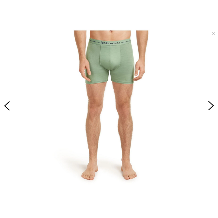 Bokserki męskie ICEBREAKER ANATOMICA MERINO+NYLON