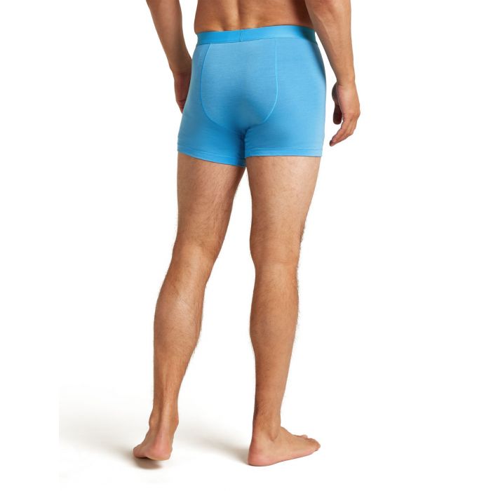 Bokserki męskie merino ICEBREAKER ANATOMICA COOL-LITE 125 