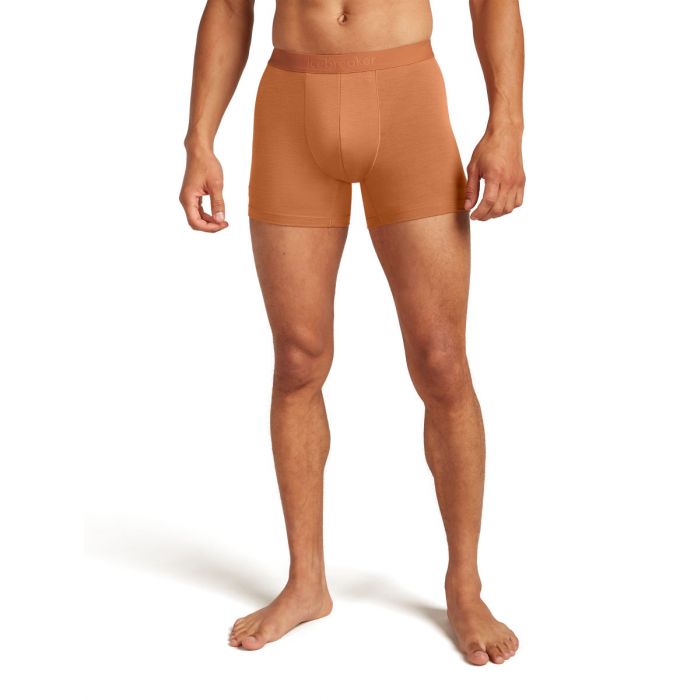 Bokserki męskie merino ICEBREAKER ANATOMICA COOL-LITE 125 