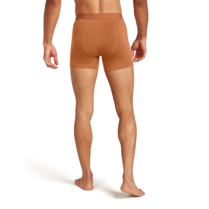 Bokserki męskie merino ICEBREAKER ANATOMICA COOL-LITE 125 / DUSTY CLAY