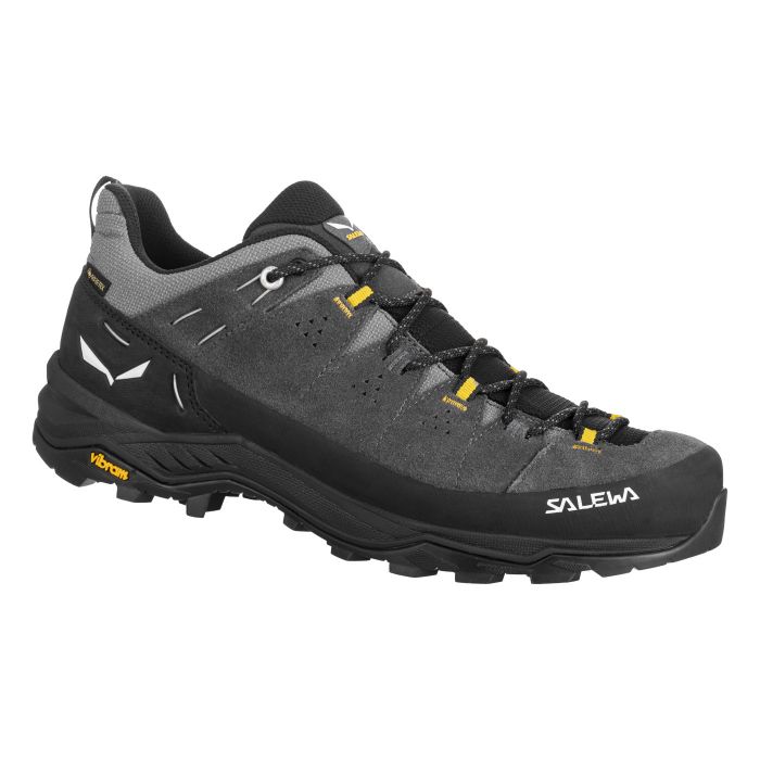 Buty męskie SALEWA ALP TRAINER 2 GTX