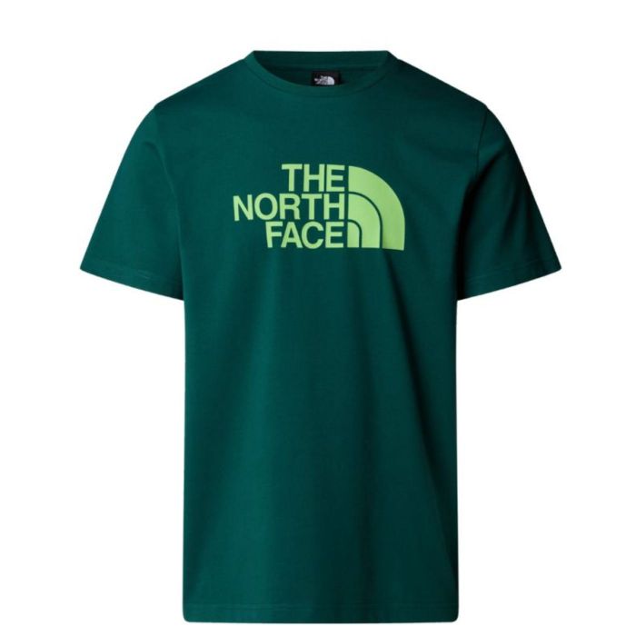 T-shirt męski THE NORTH FACE EASY TEE