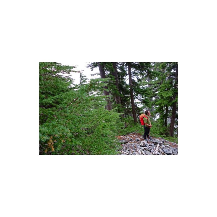 Plecak EXPED BLACK ICE 30 M