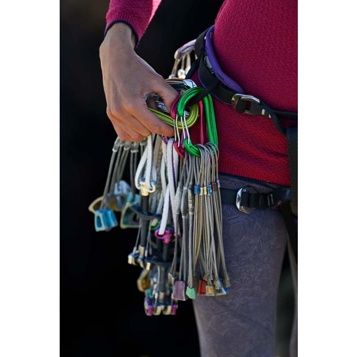 Karabinek DMM WALLDO