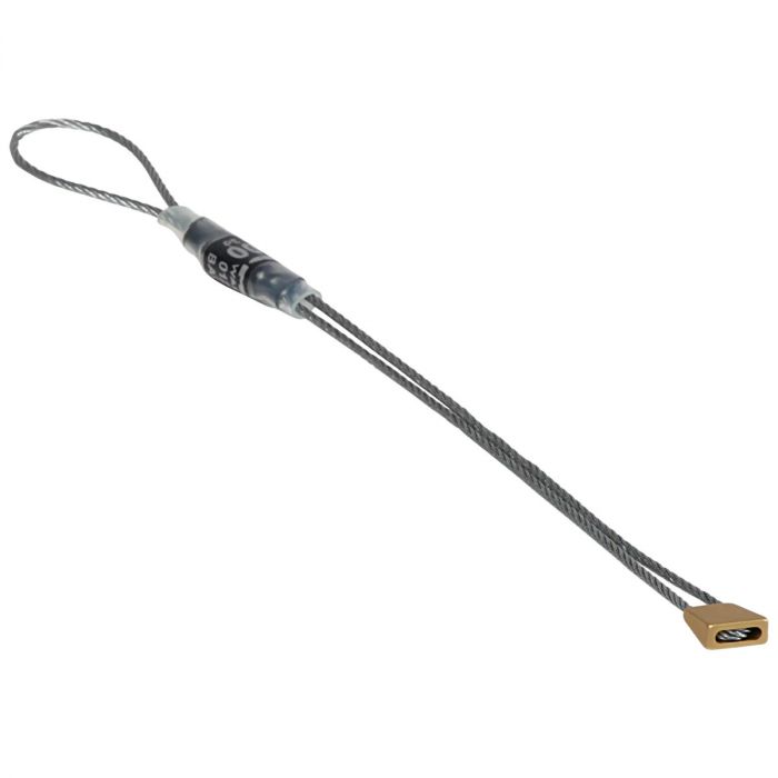 Kości DMM MICRO WALLNUTS