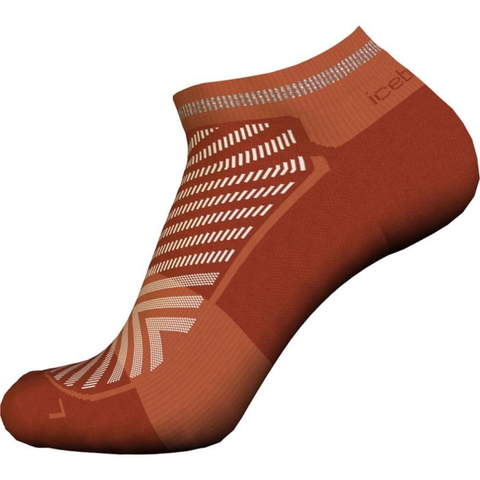 Skarpety męskie ICEBREAKER MERINO RUN+ ULTRALIGHT MINI 