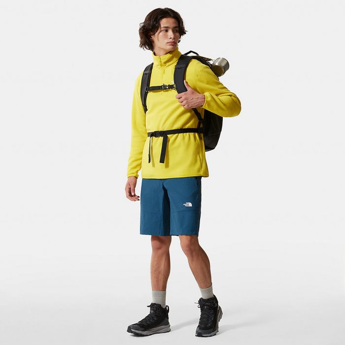 Szorty męskie THE NORTH FACE LIGHTNING