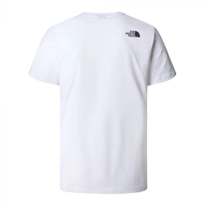 T-shirt męski THE NORTH FACE NSE TEE
