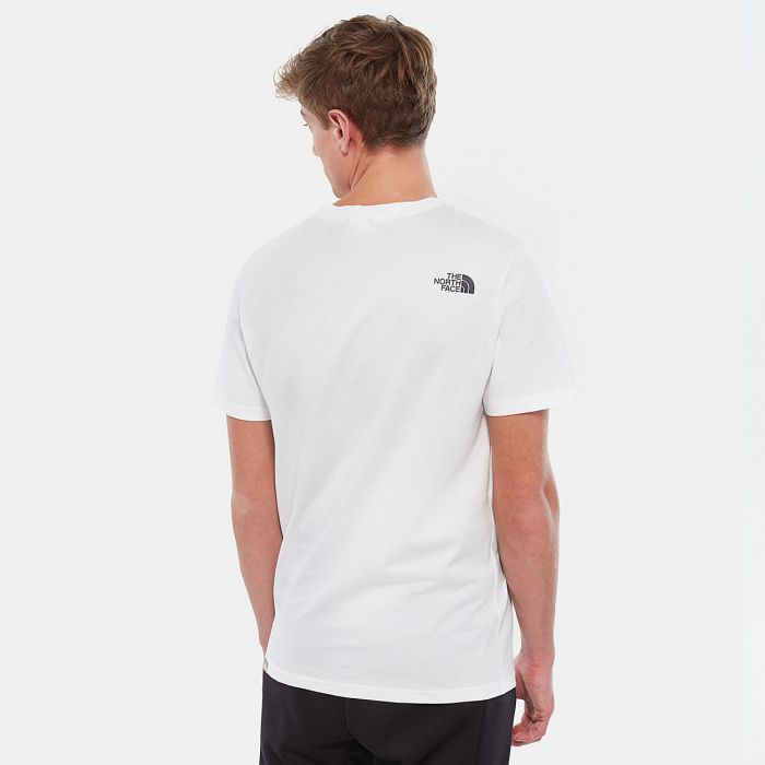 T-shirt męski THE NORTH FACE EASY TEE