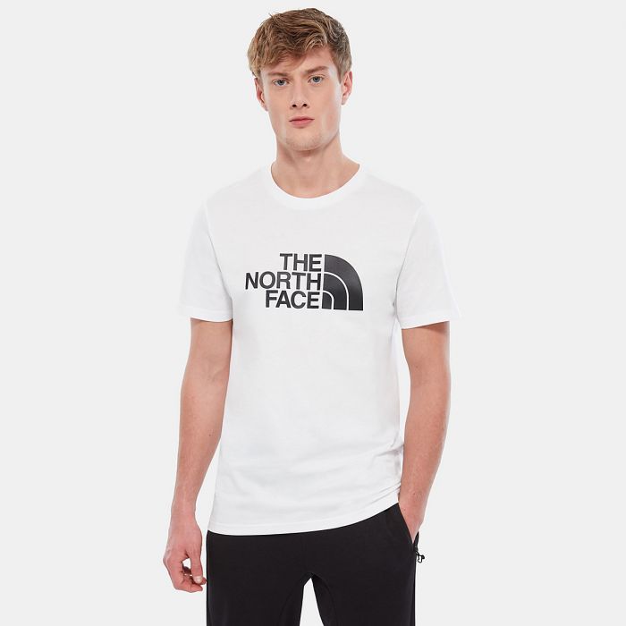 T-shirt męski THE NORTH FACE EASY TEE