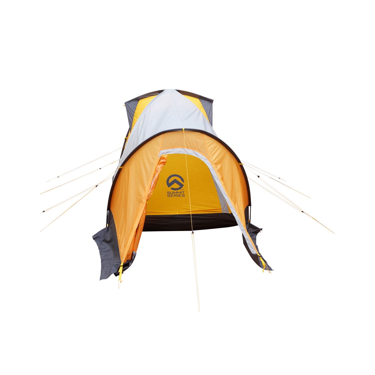 The North Face Assault2 Tent ノースフェイス テント THE NORTH FACE ノースフェイス 2人用テント ASSAULT 2