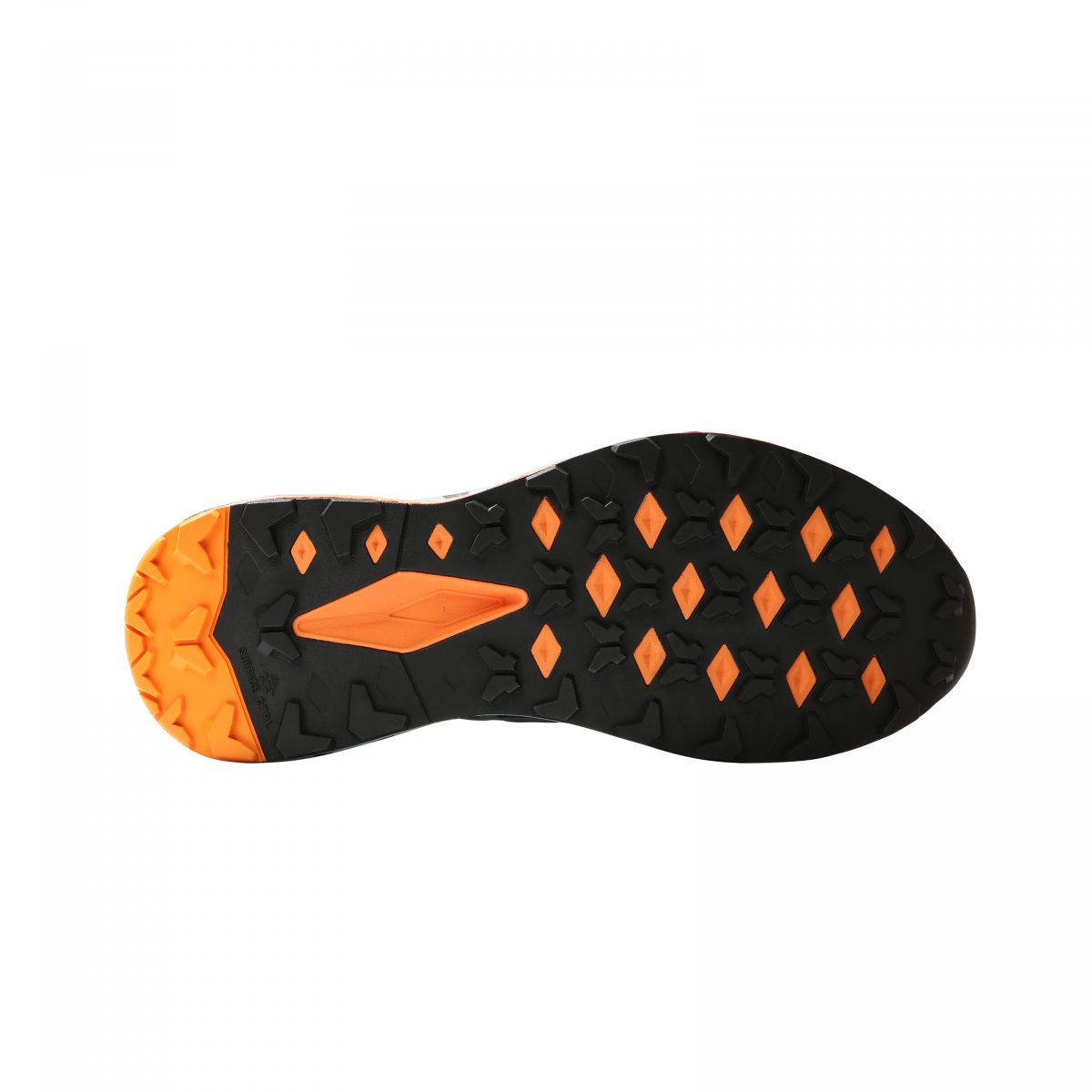 Buty męskie THE NORTH FACE ELVIRA FLIGHT SERIES VECTIV sklep