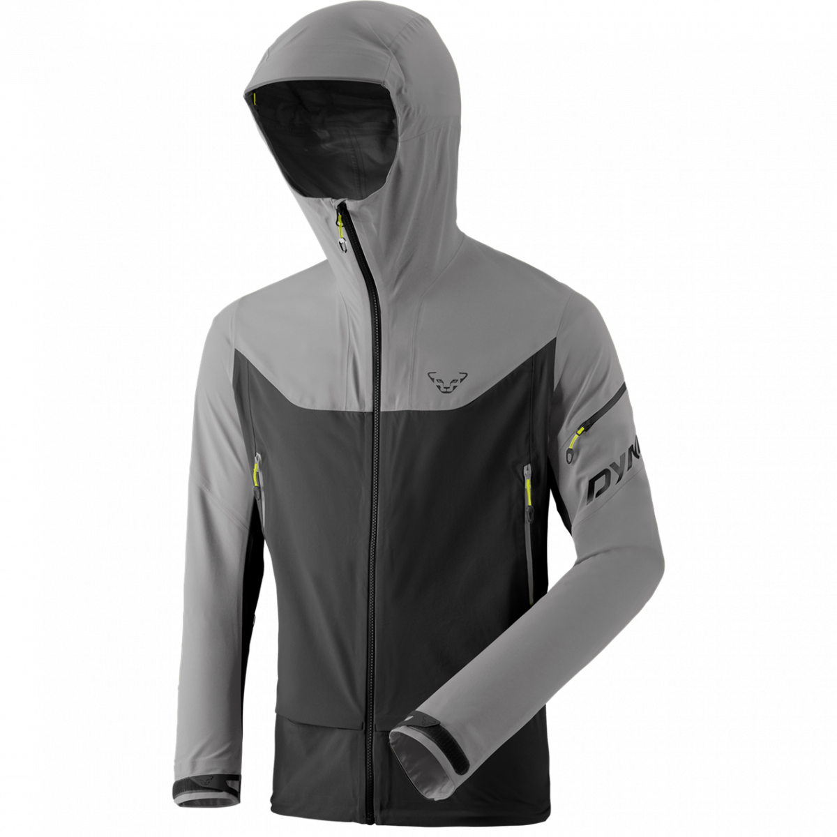 2019 DYNAFIT ディナフィット BEAST 2019 DYNAFIT ディナフィット BEAST 2019 DYNAFIT ディナ