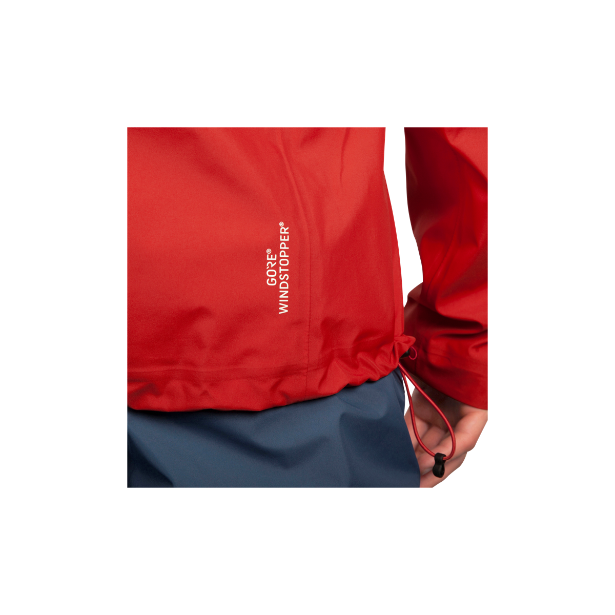 Salewa Sesvenna Windstopper / ジャケット (新品) Salewa Sesvenna Windstopper / ジャケット (新品)の通販 by
