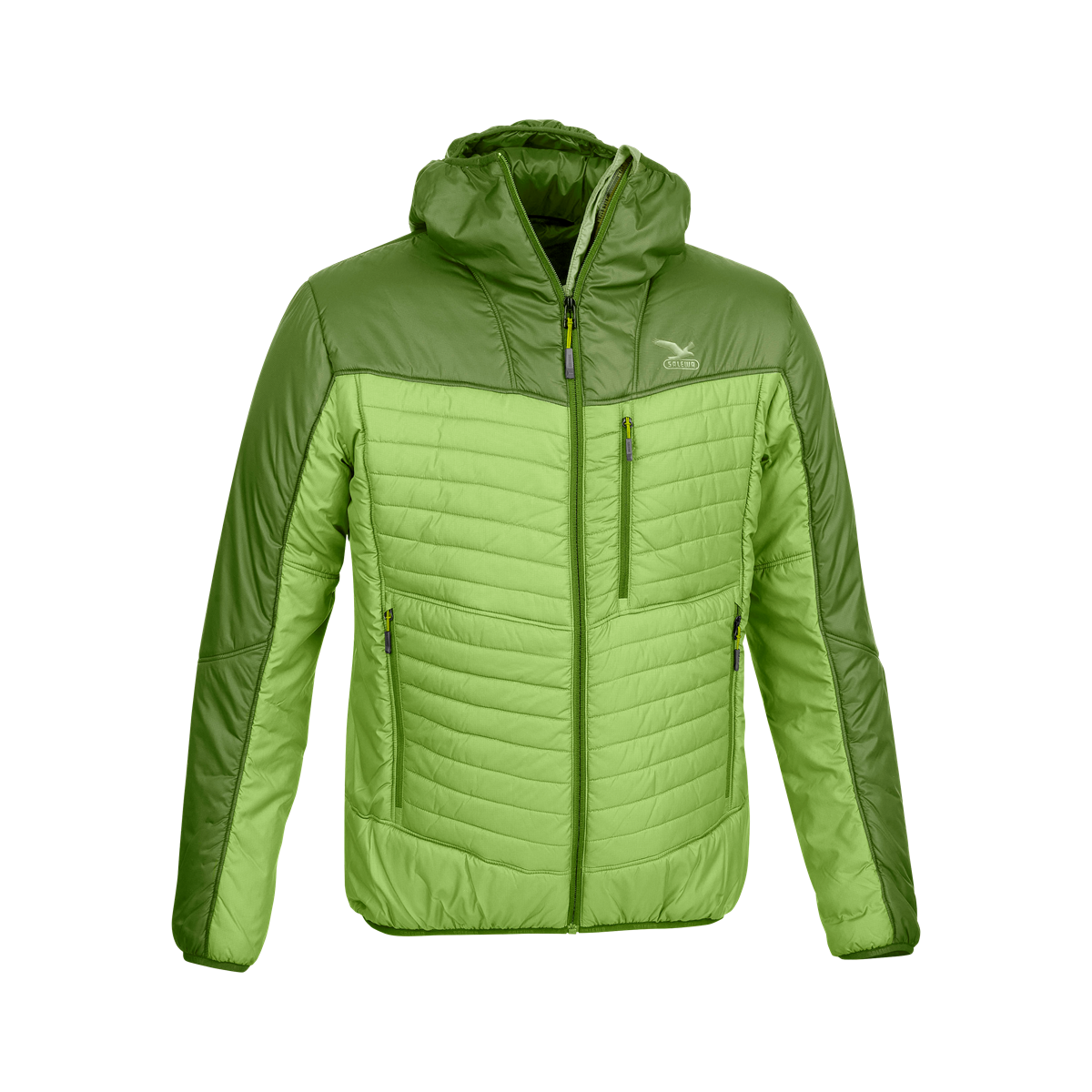 WILDSWANS　2025 TL-ADLER（CAMEL） WILDSWANS 2025 TL-ADLER（CAMEL） WILDSWANS 2025 TL-ADLER