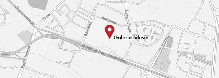 Sklep Polar Sport (Dynafit, Salewa) Katowice, ul. Chorzowska 107