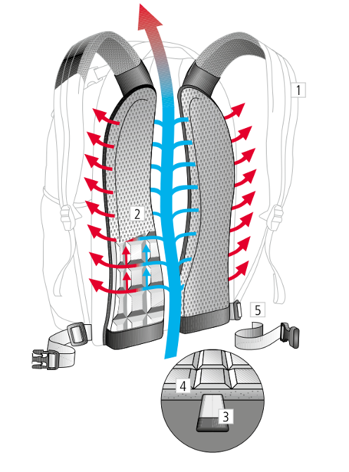 Deuter Airstripes System