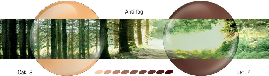 Anti-fog